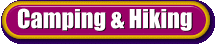 Camping Equipment and Festival Gear